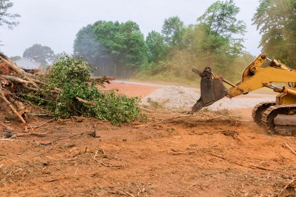 Ground Clearing in Monument