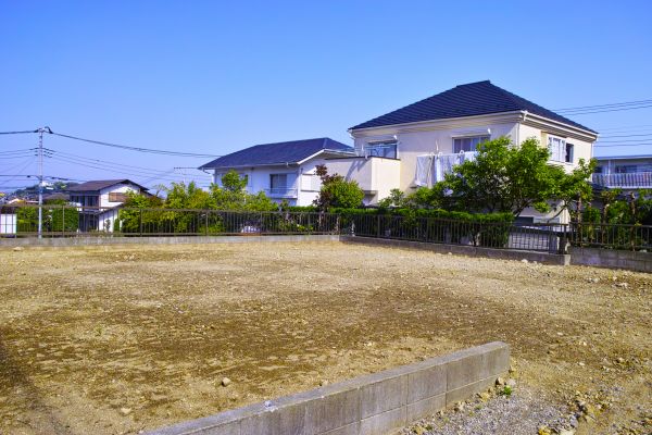 Cost of Lot Clearing Service in Monument