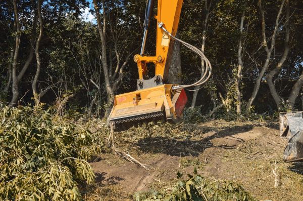 Brush Removal Service in Monument