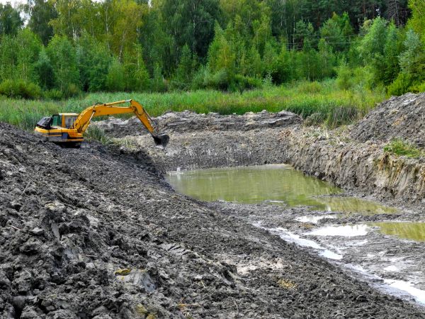 Cost of Lake Lot Clearing in Monument