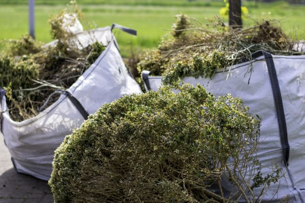 Cost of Bushes Clearing in Monument