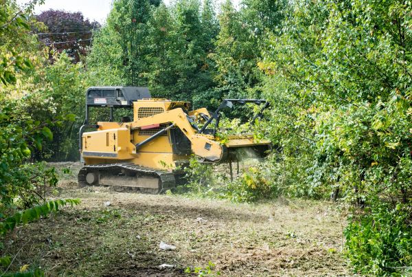 Cost of Pathway Clearing in Monument