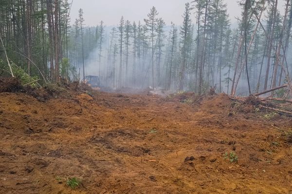 Cost of Hill Clearing in Monument