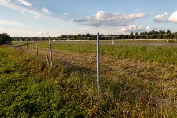 Cost of Property Line Clearing in Monument