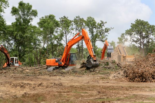 Cost of Commercial Lot Clearing in Monument