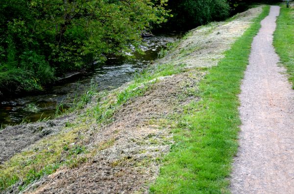 Cost of Trail Cutting in Monument
